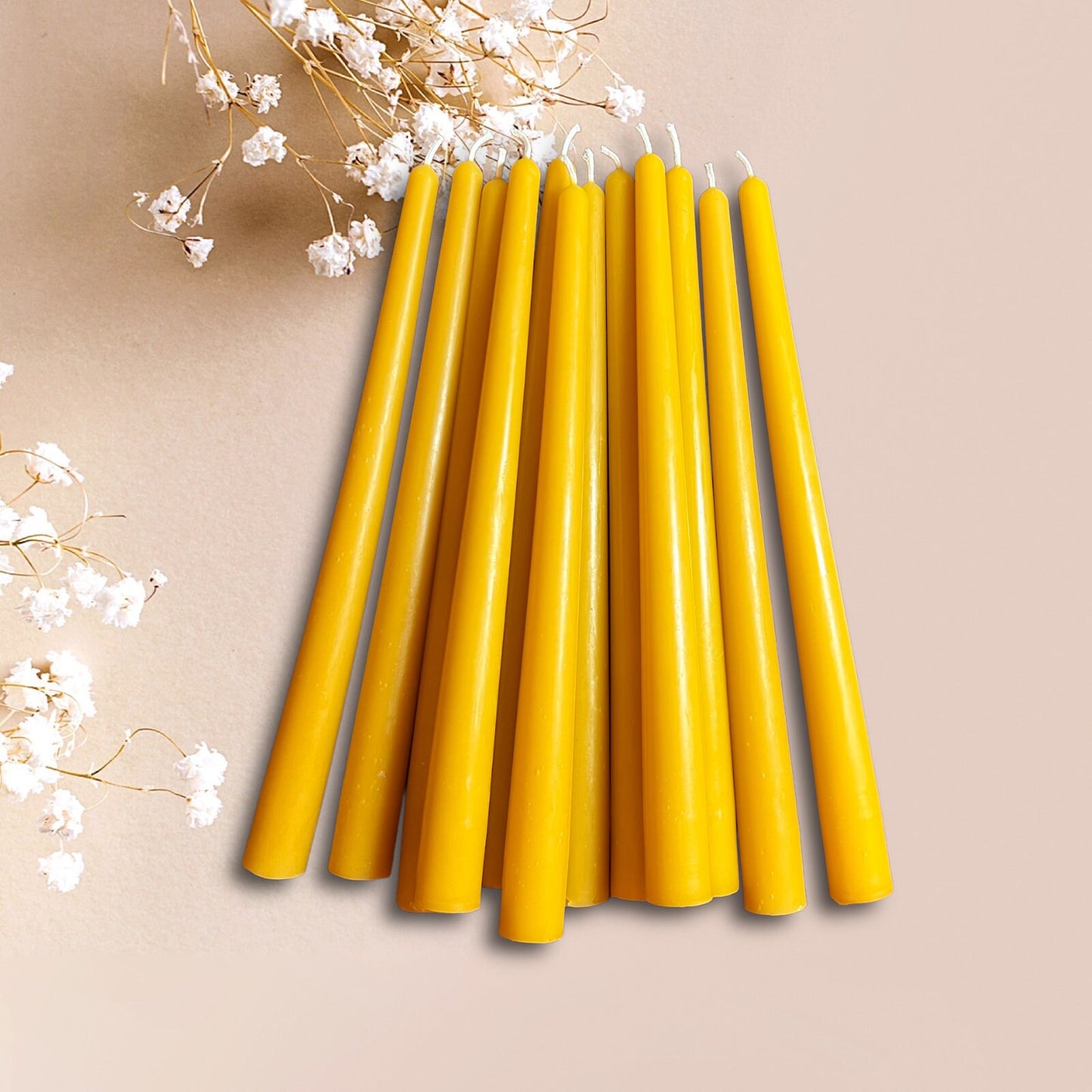 Set of 6 Beeswax Taper Dinner Candles – 10 in, 6 Colors